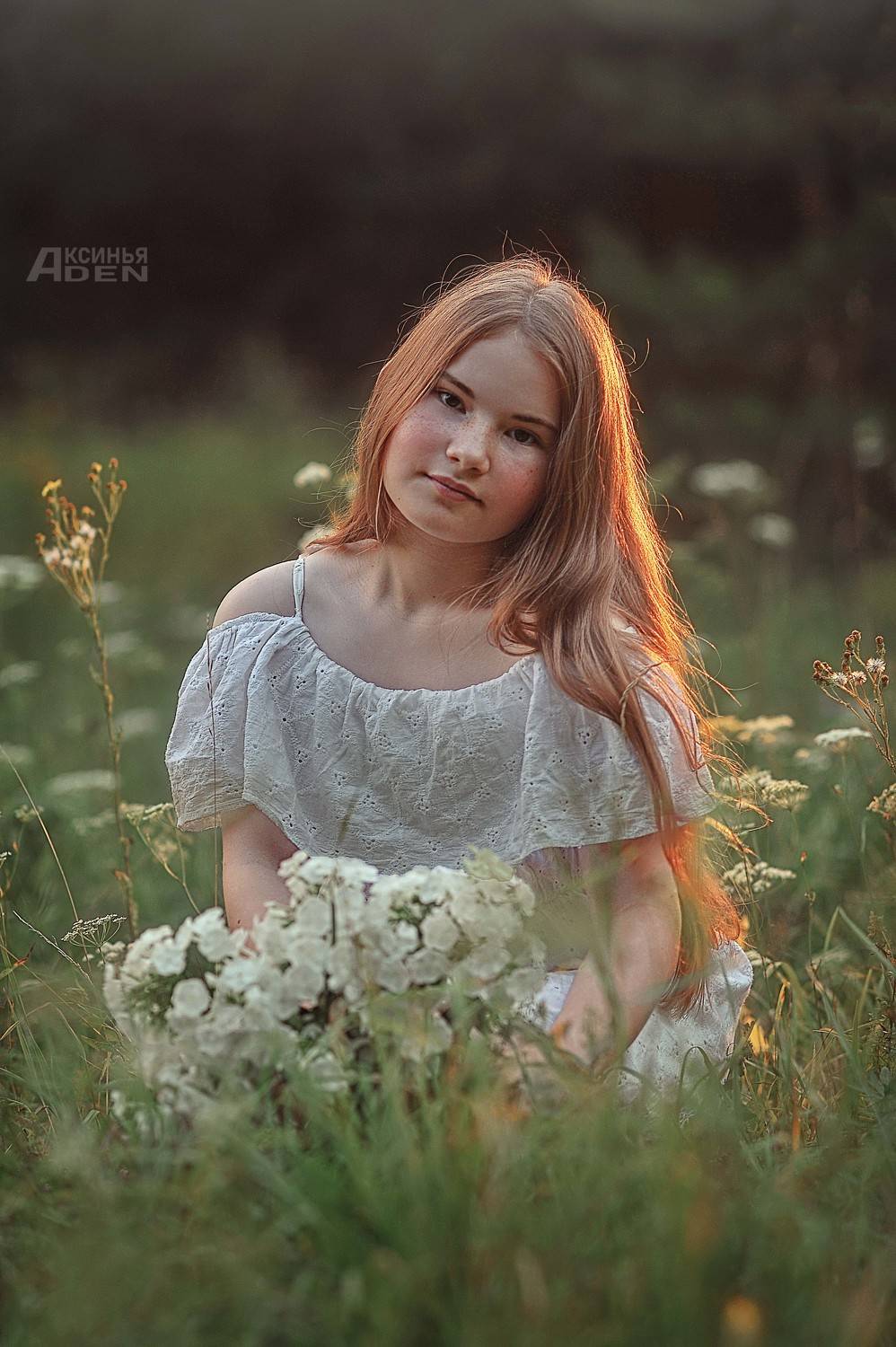 Автор: Лысенкова Аксинья , Лысенкова Аксинья