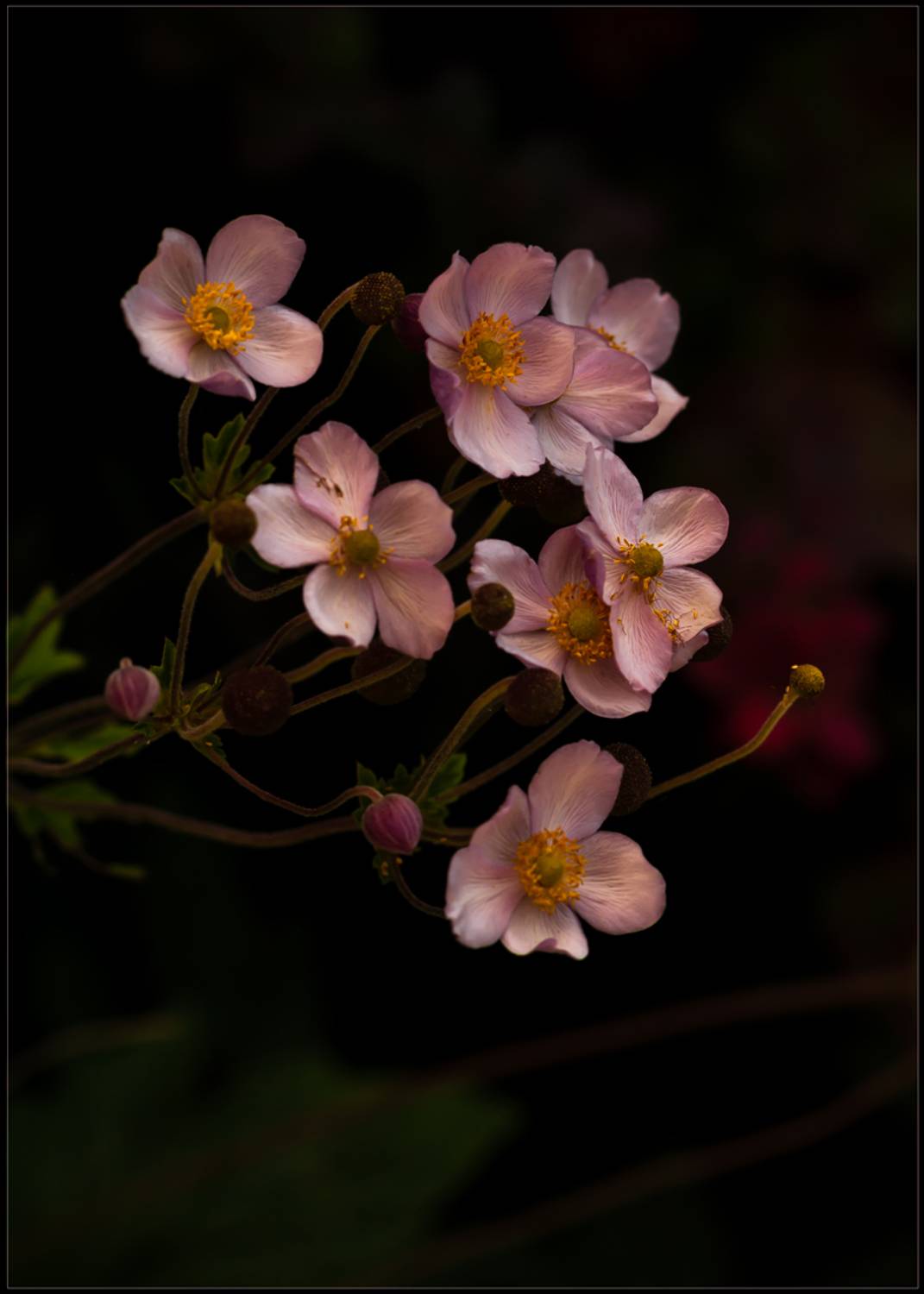 , Хромеев Александр