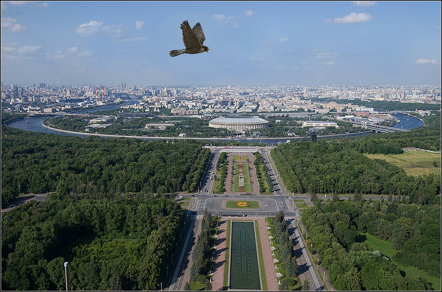 москва, лето, ворабьёвы горы, сокол, АНАТОЛИЙ ДОВЫДЕНКО