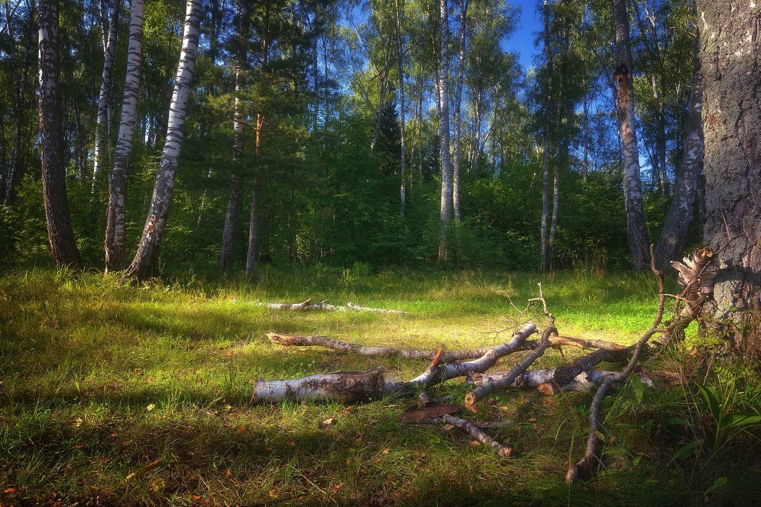 , Алексей Никонов