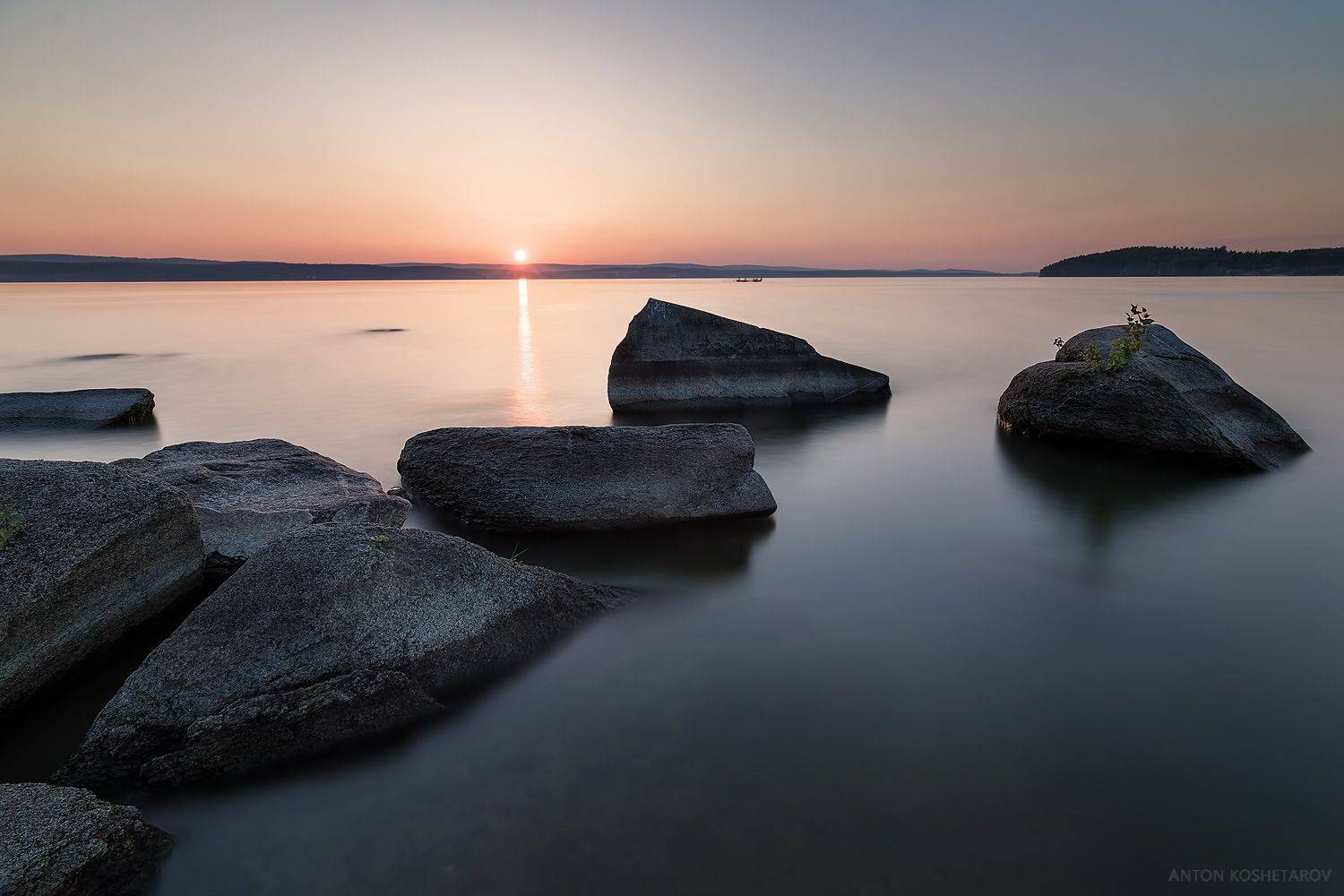 , Антон Кошетаров