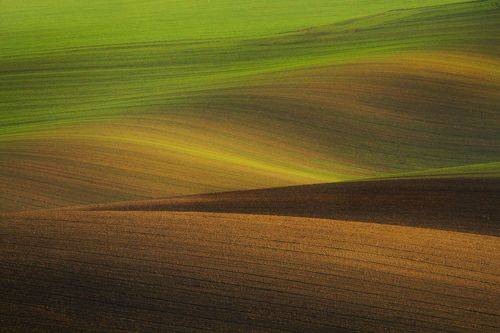  Velvet hills of Moravia