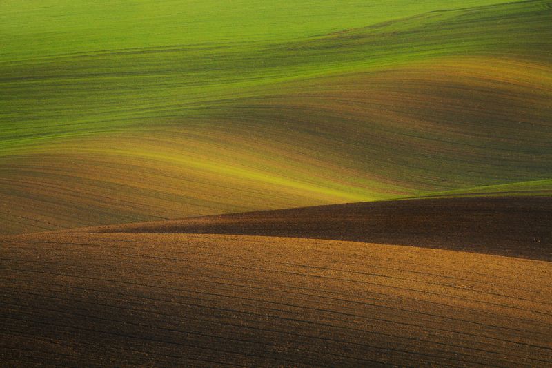 Velvet hills of Moravia фото превью