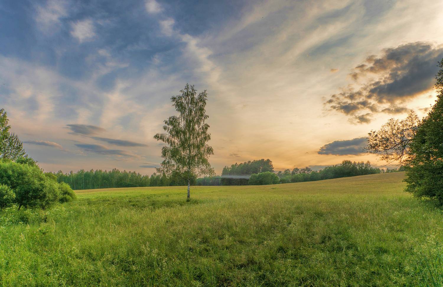 , Александр Смыков