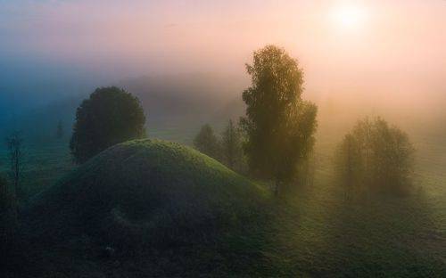 Туманное утро возле старых курганов