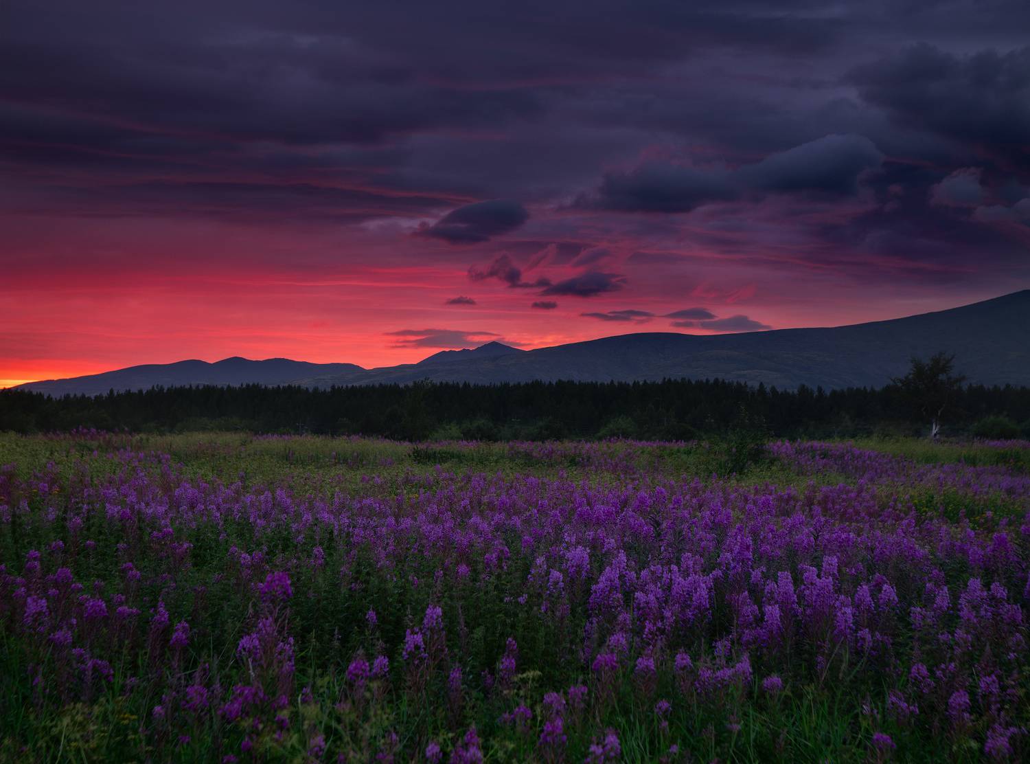 , Истомин Виталий