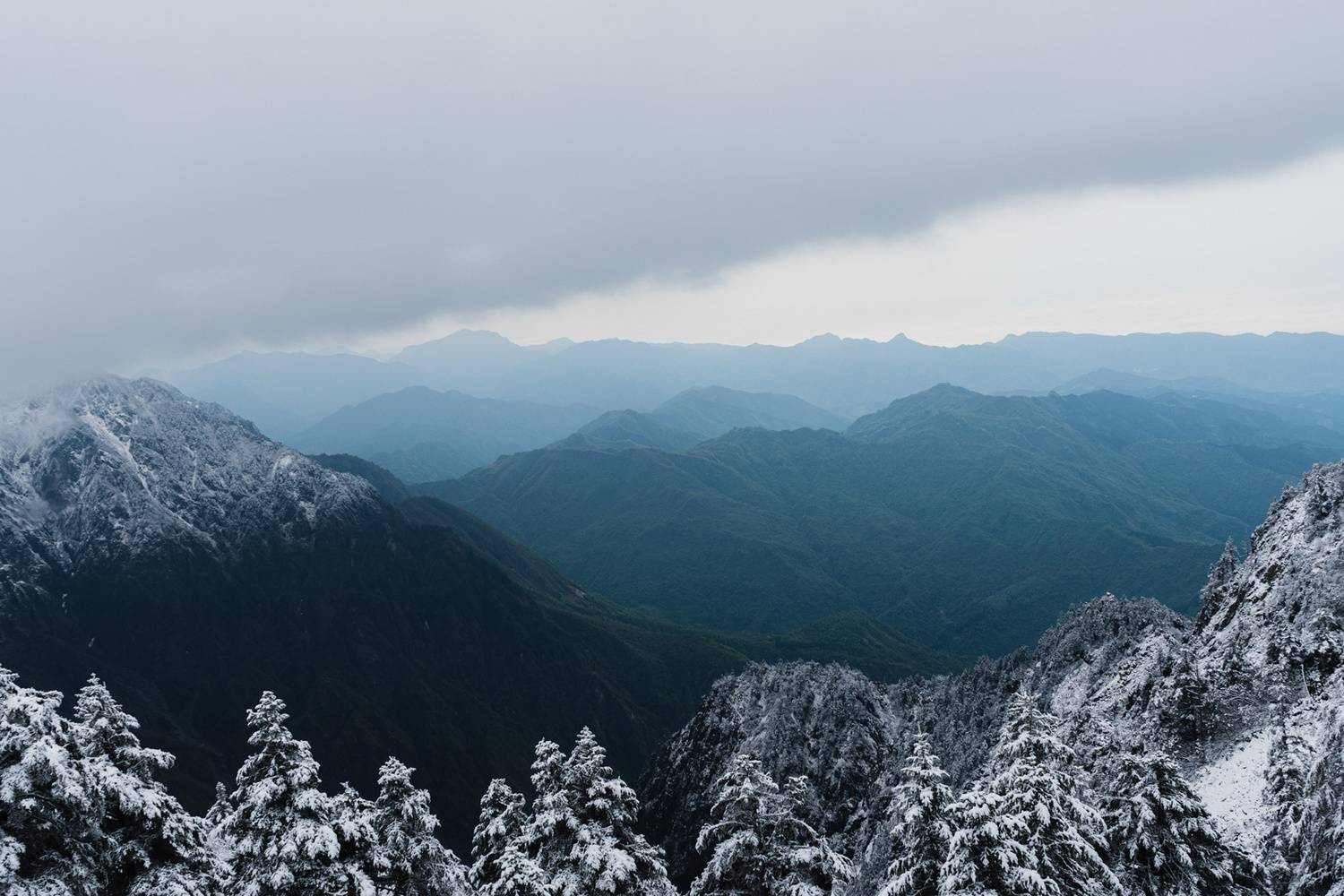 conifer tree, snow-covered tree, icy conifer, winter landscape, green mountains, snow-capped peaks, snowy tree, mountain top view, thick clouds, winter wonderland, resilient tree, snowstorm survivor, majestic mountain scene, frozen landscape, proud mounta, Druz Denys