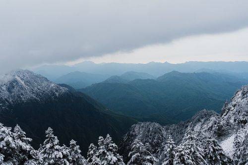 Snowy Conifer Peaks