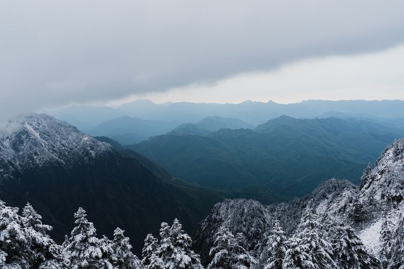 conifer tree, snow-covered tree, icy conifer, winter landscape, green mountains, snow-capped peaks, snowy tree, mountain top view, thick clouds, winter wonderland, resilient tree, snowstorm survivor, majestic mountain scene, frozen landscape, proud mounta Snowy Conifer Peaks фото превью