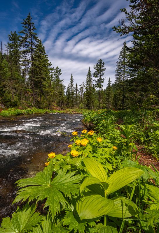 мамай, хамар-дабан, жарки Ущелье реки Большой Мамай фото превью