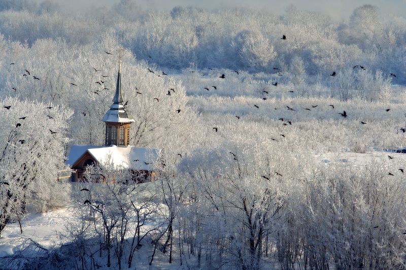 фото превью
