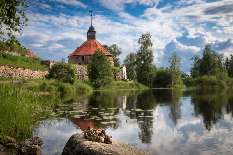 Утки у крепости фото превью