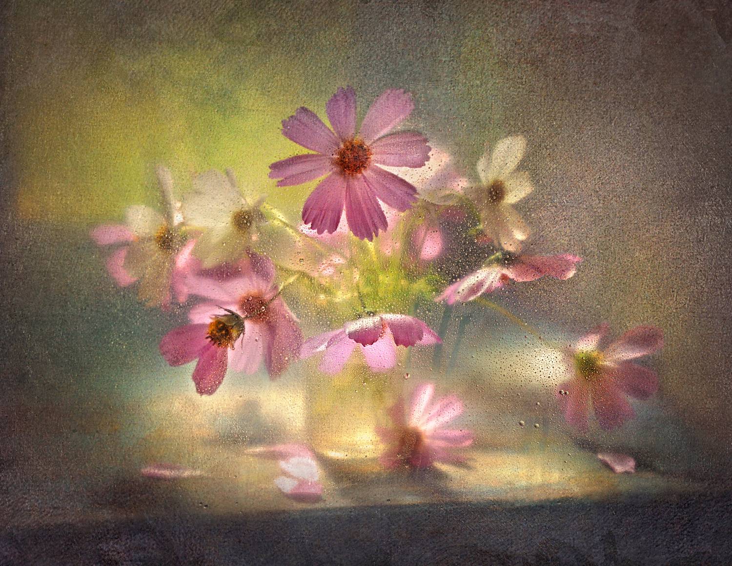 , Буглак Инна