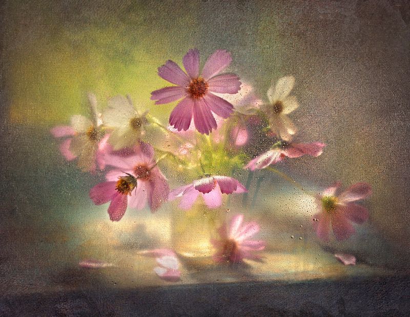 Нежнейшая спутница августа фото превью