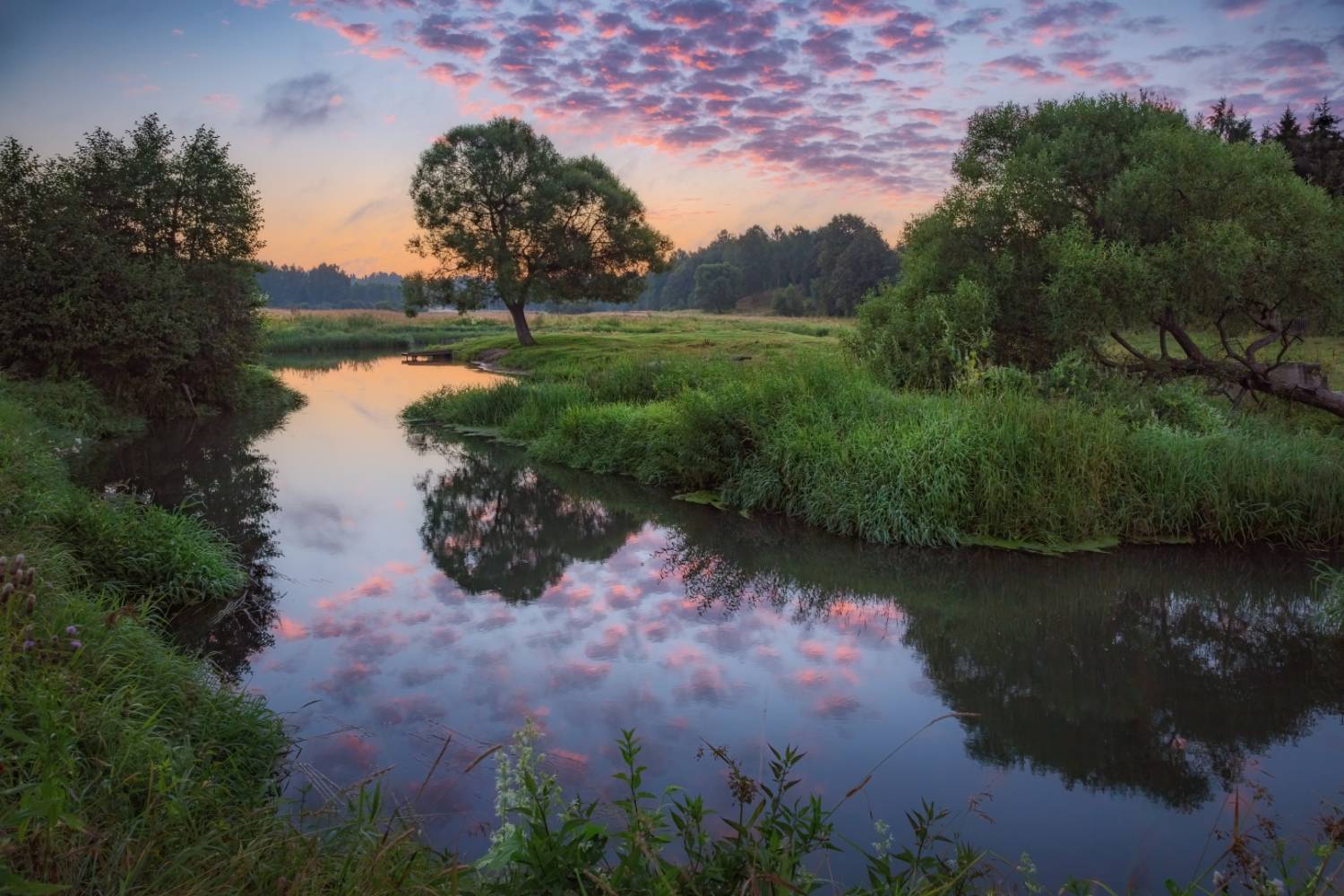 , Евгений Ерохин