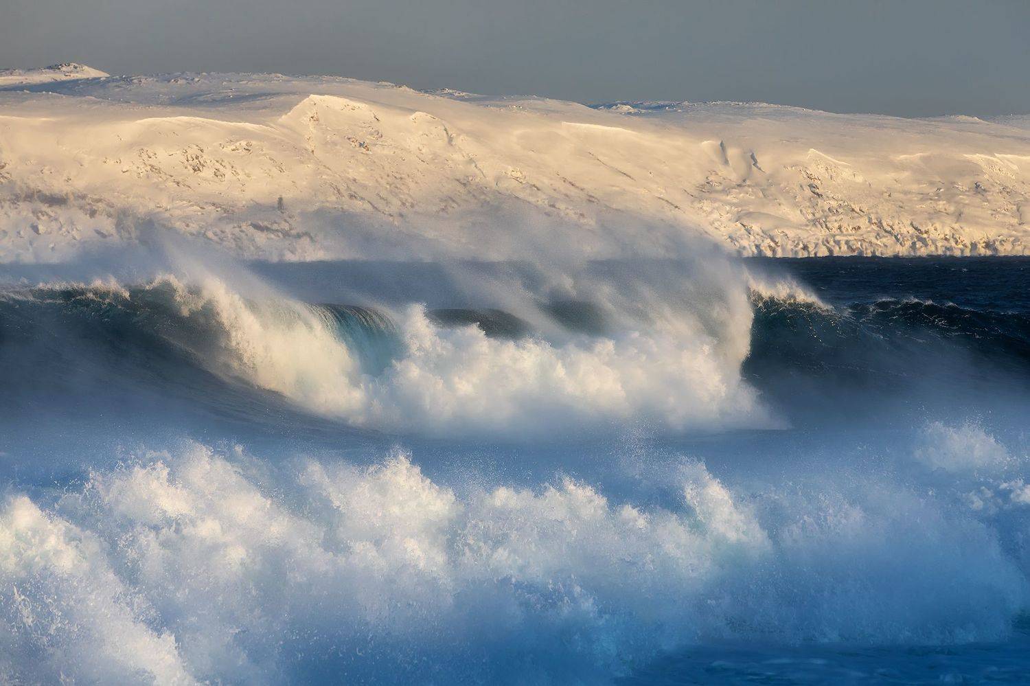 , Александр Пашеничев