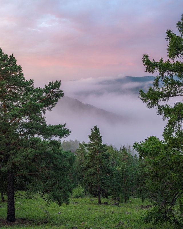 Малиновый рассвет фото превью