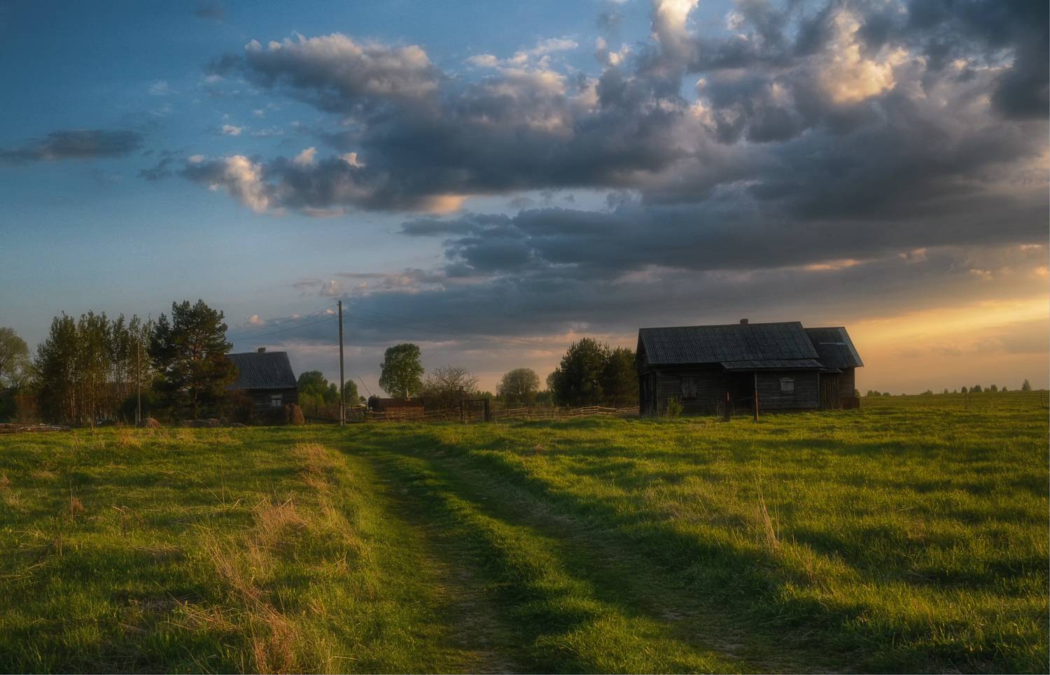 облака доиики деревья, Вера Петри