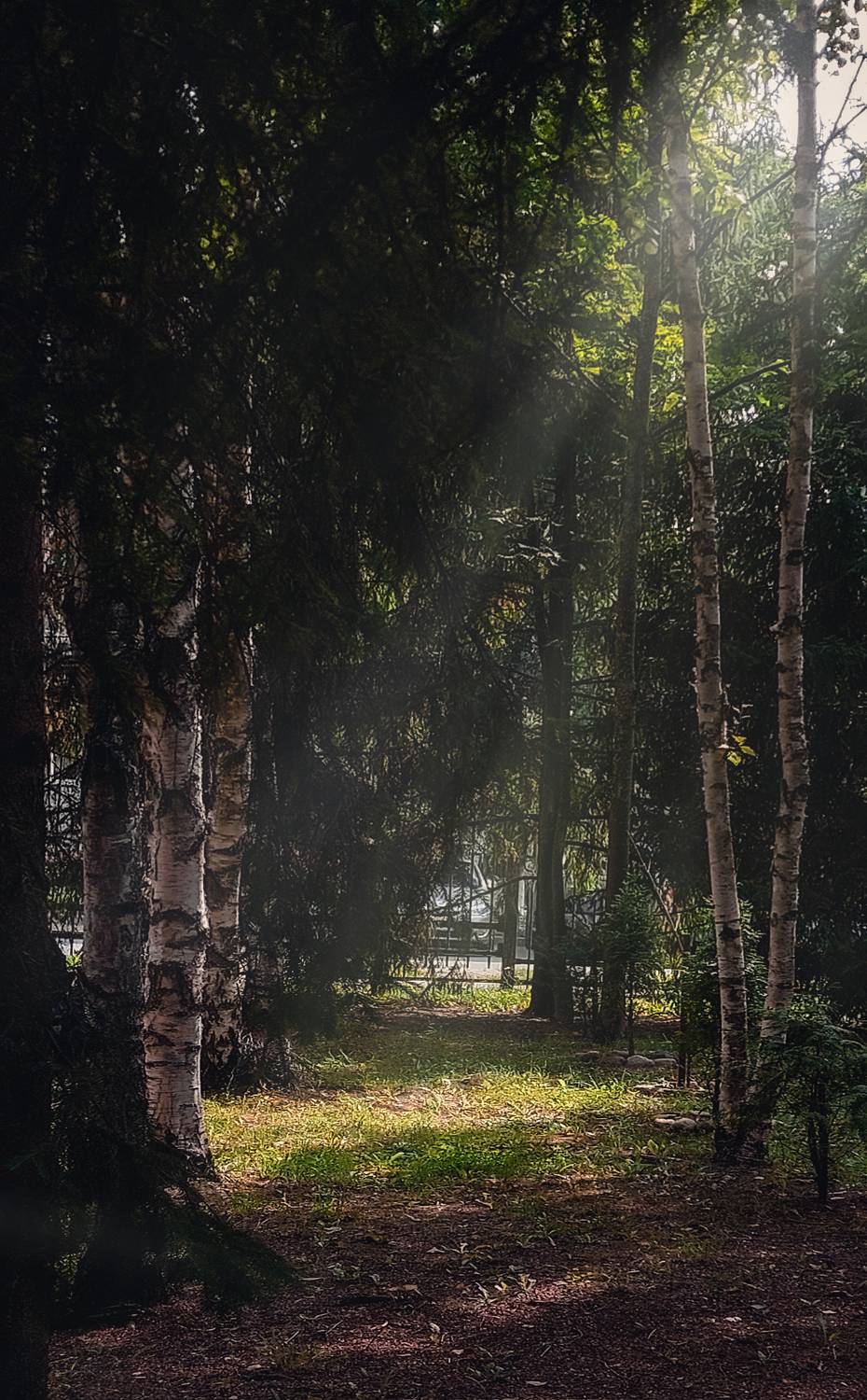 , Владимир Осауленко