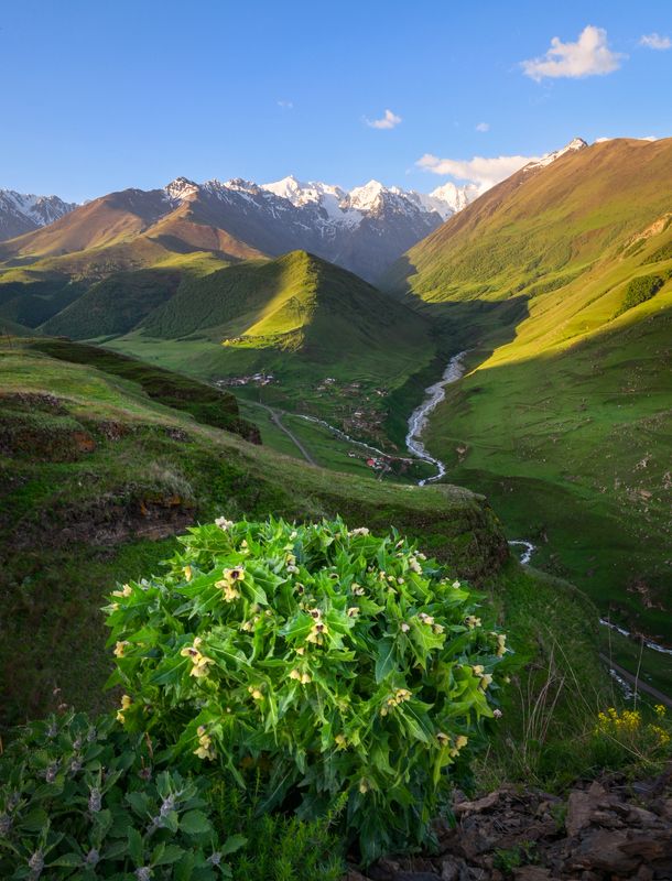 С добрым утром! фото превью