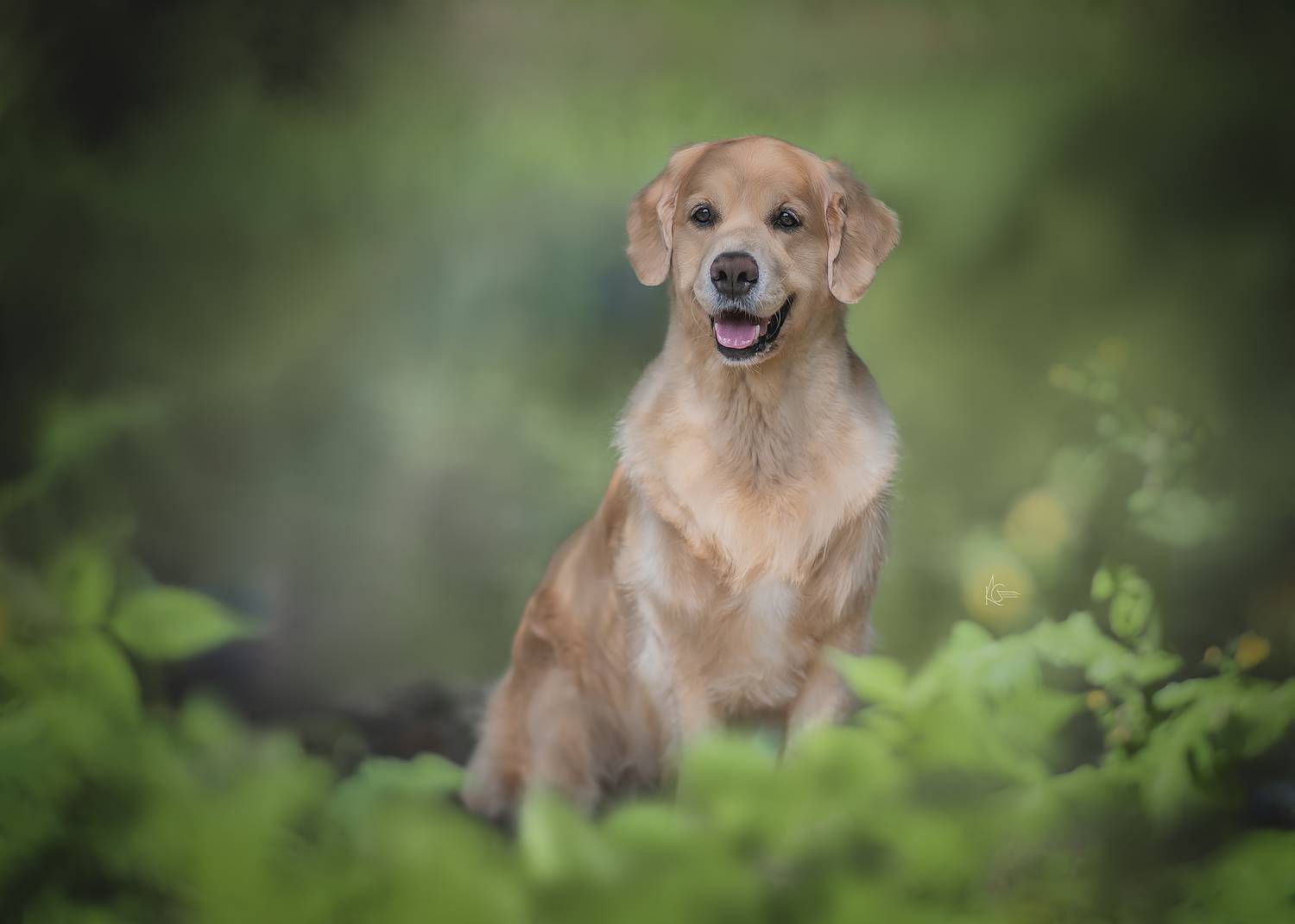 , Коптилина Галина