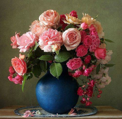 И только аромат цветущих роз