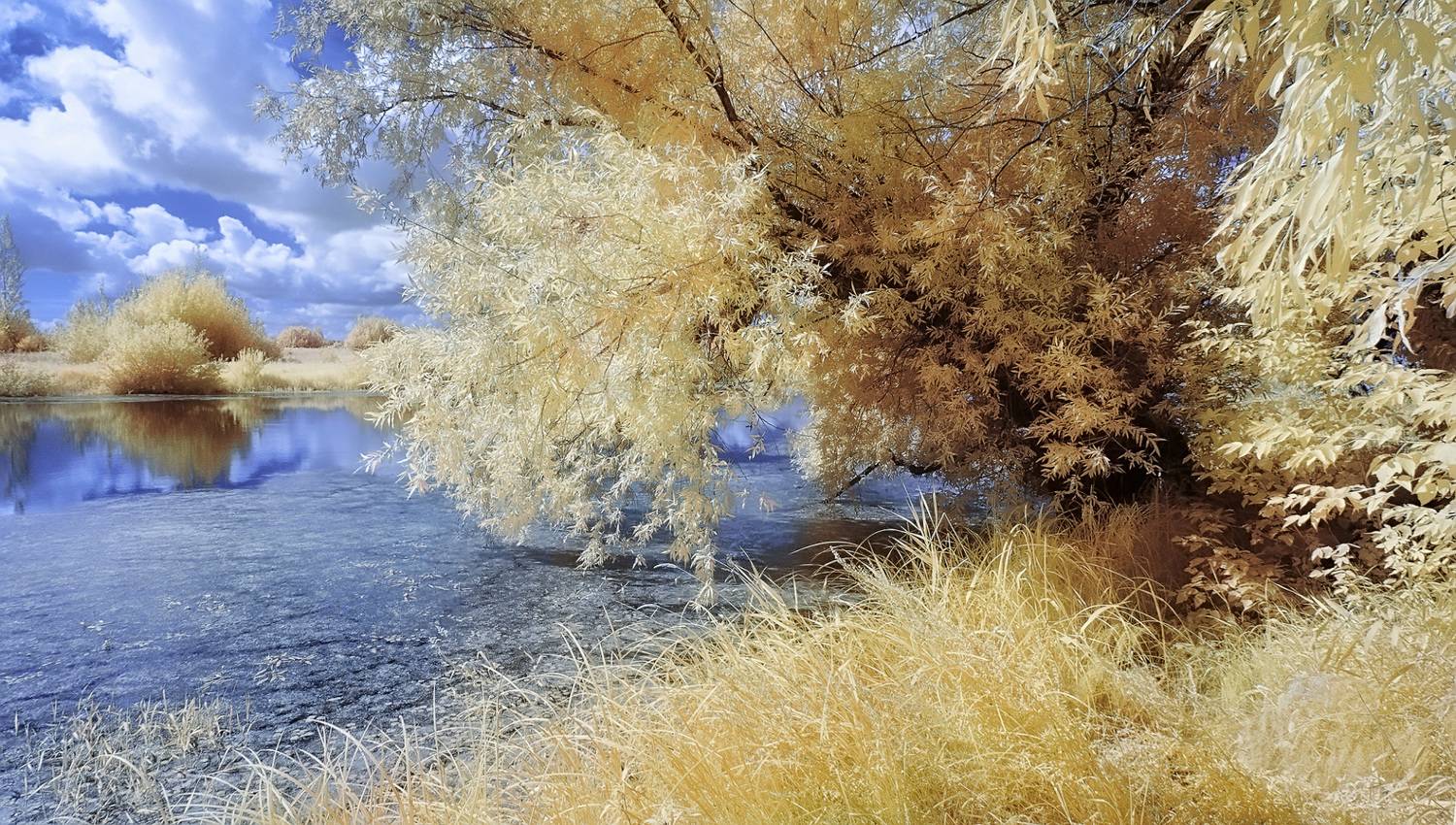 инфракрасная фотография, фильтр, 590nm,  Гобова Наталья