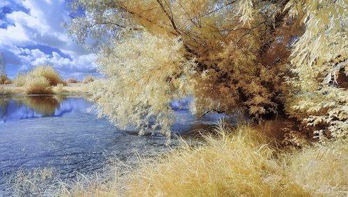 Летний денёк.