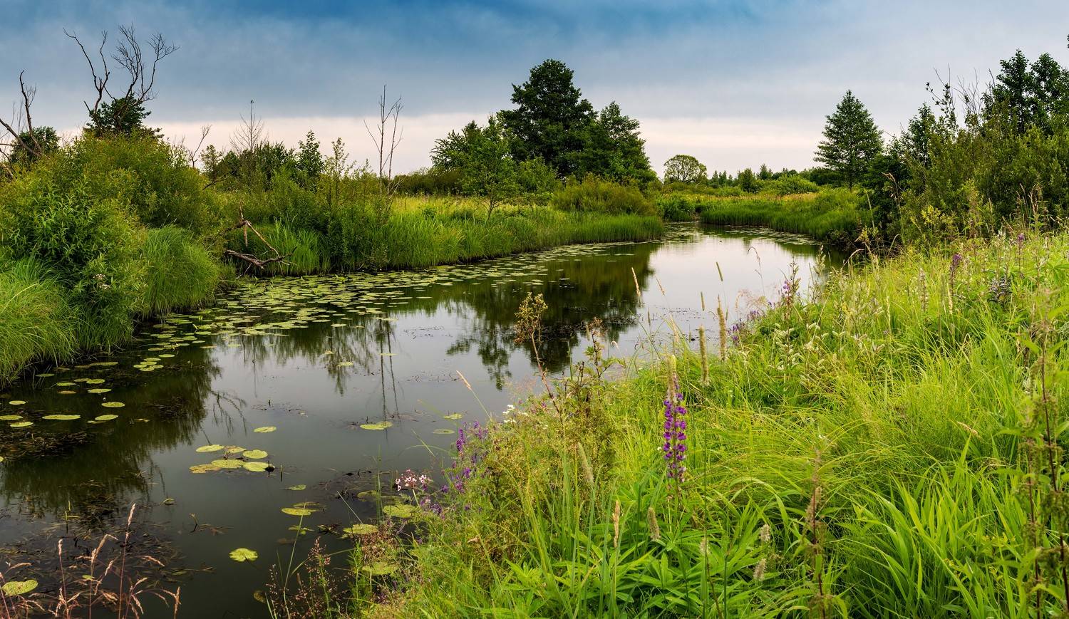 , Павел Ныриков