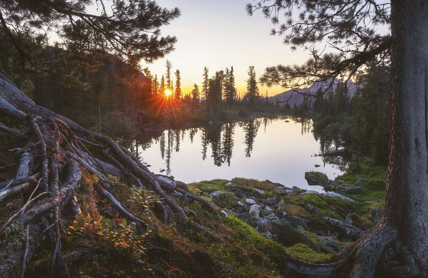 , Грамаков Юрий