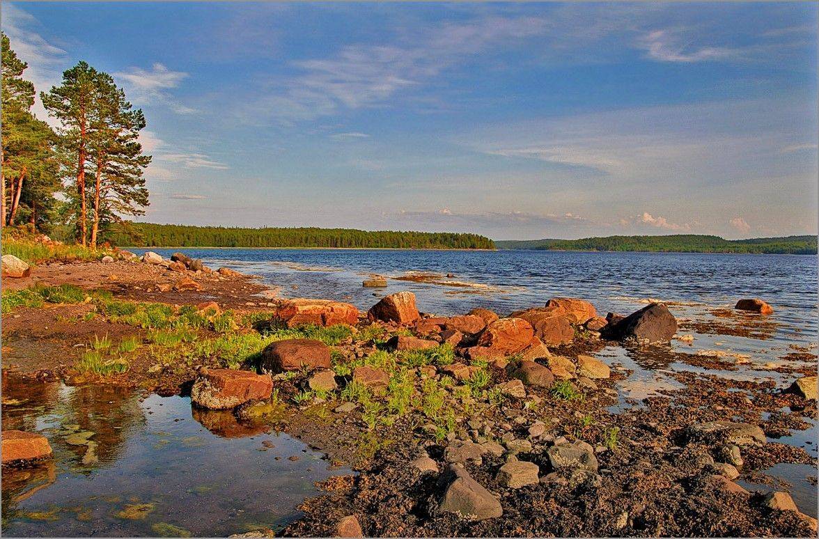 , Сергей Никсон