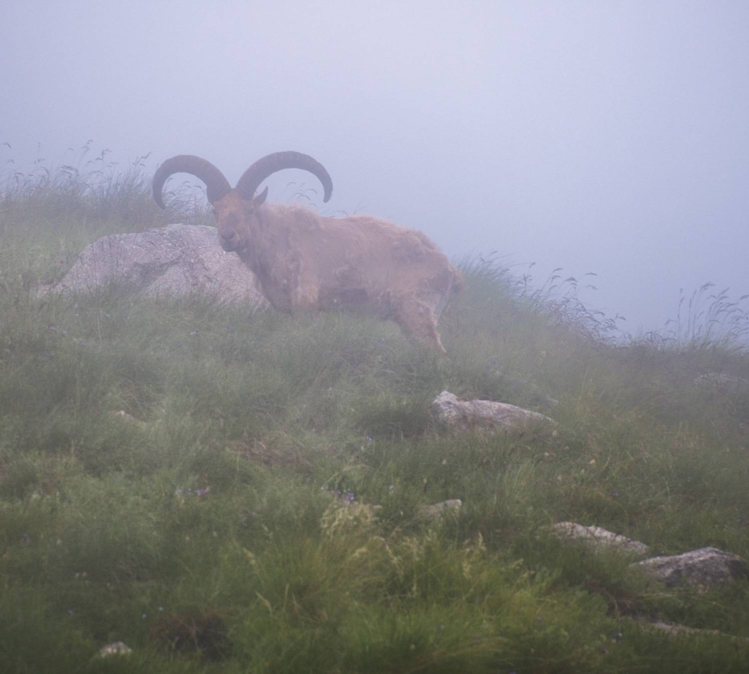 , Мысливцев Николай