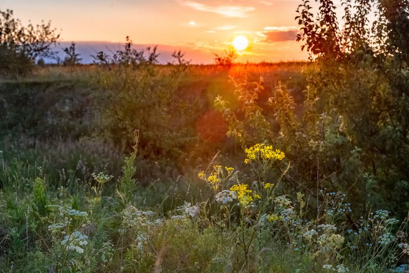 Пейзаж загородный фото превью