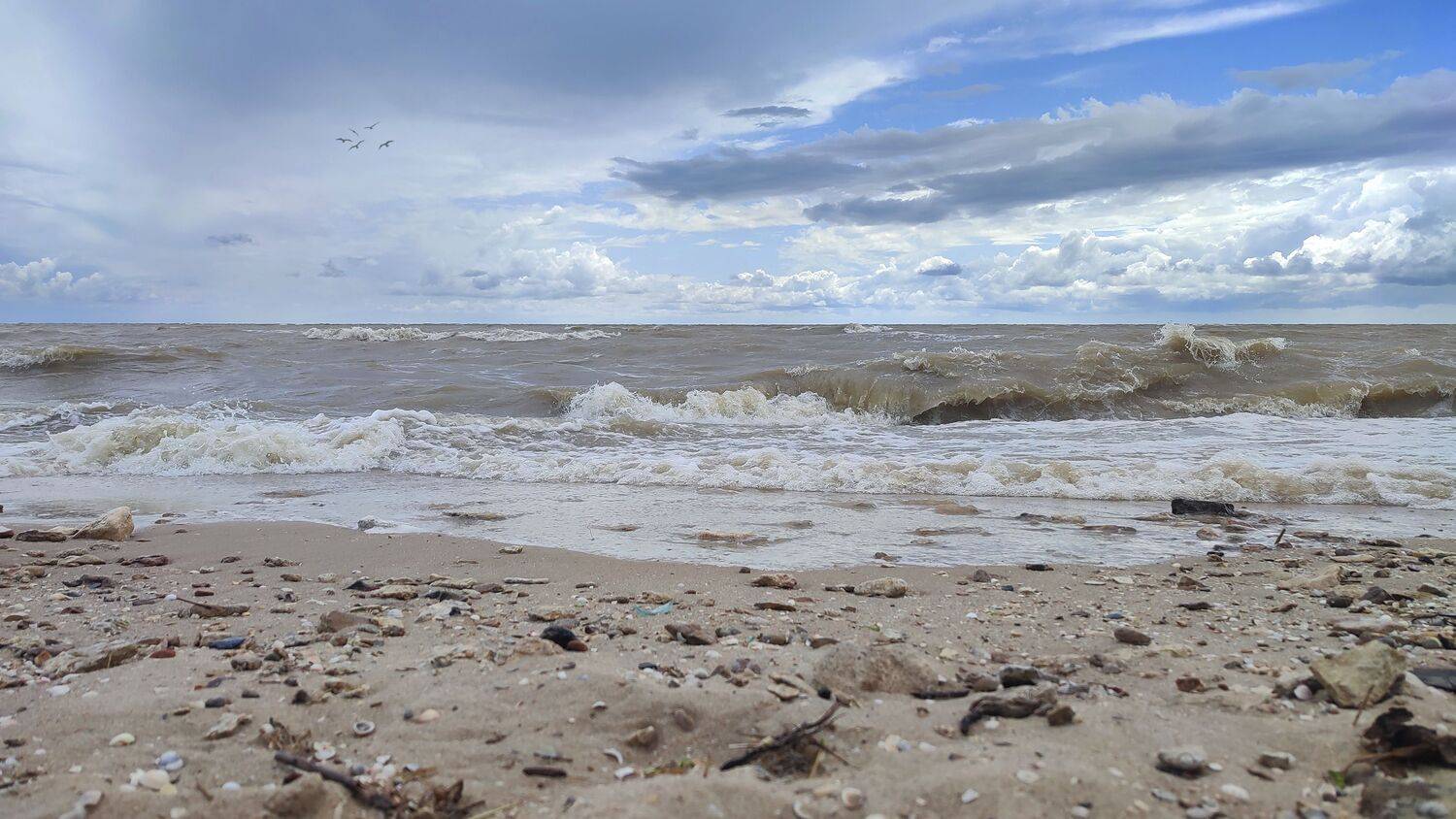 море, пляж, шторм, Sergii Vidov