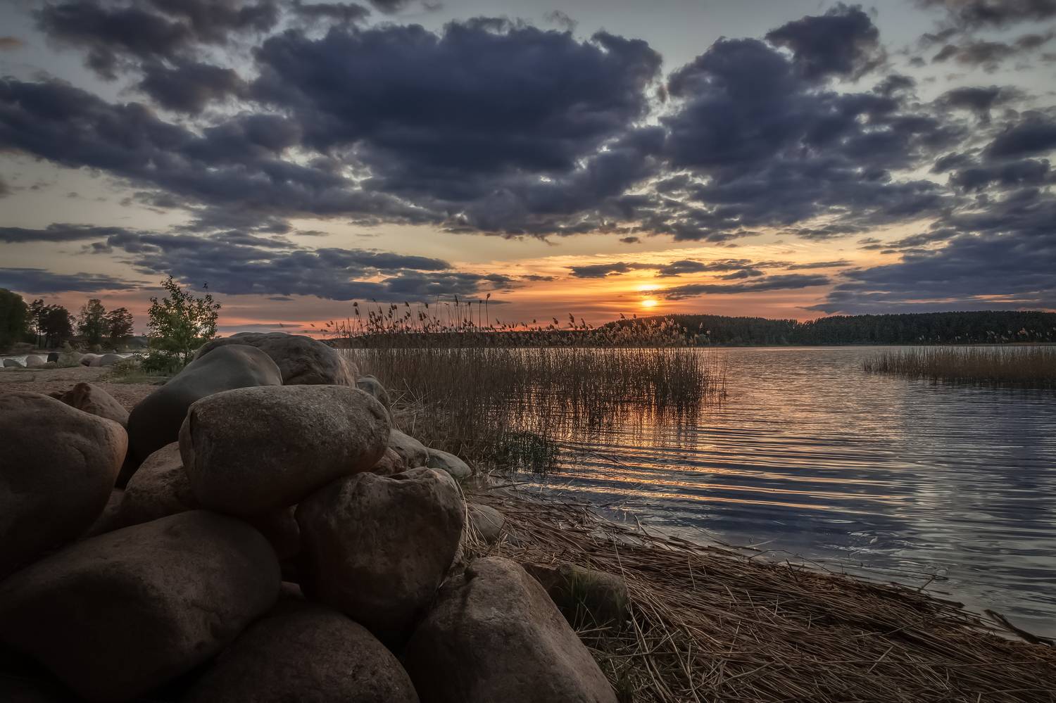 Тверская область, Елена Гусева
