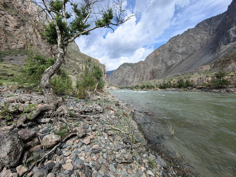 Река Чулышман фото превью