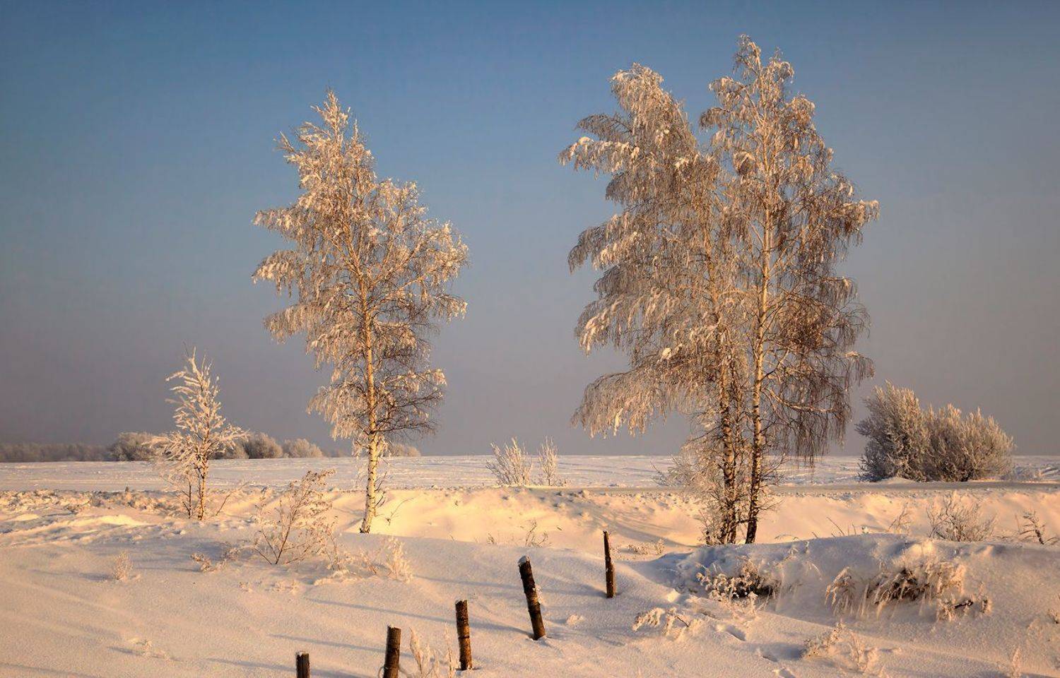 , Алексей Хахлов