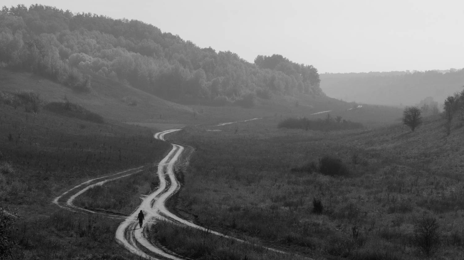 , Гайдук Евгений