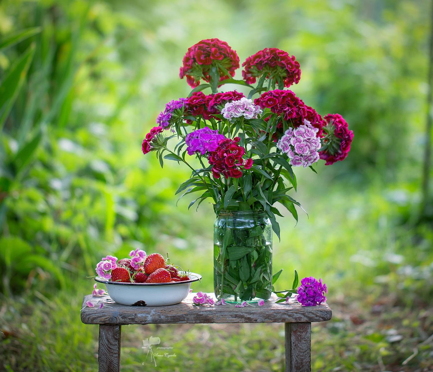 , Инна Сухова