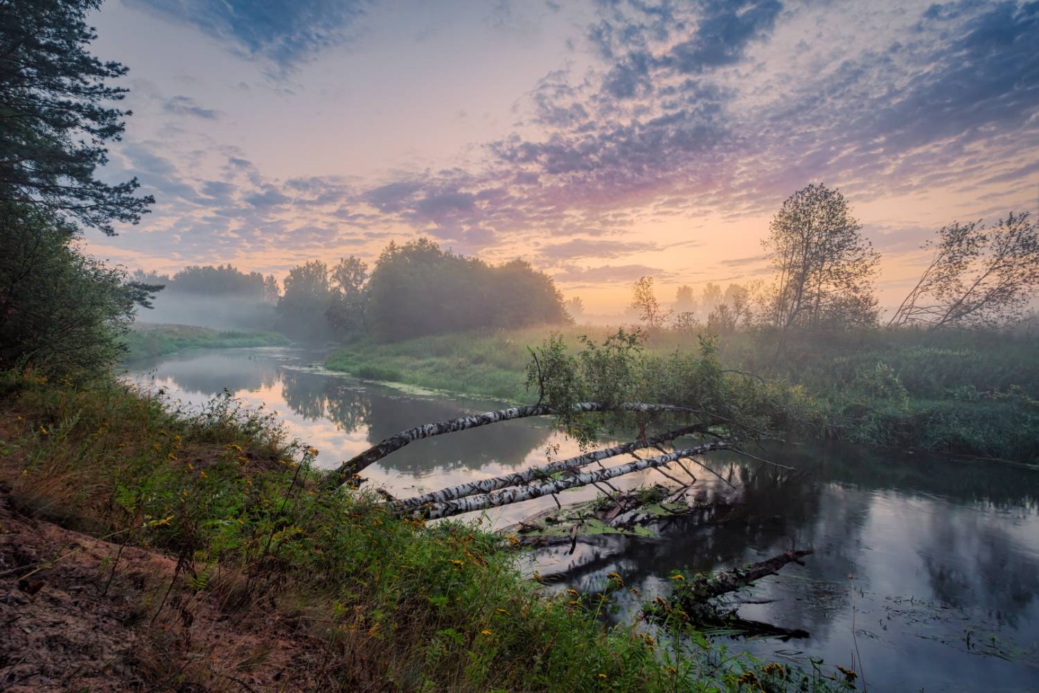 , Евгений Ерохин