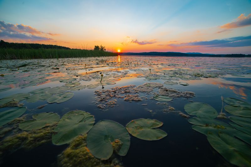 *** фото превью