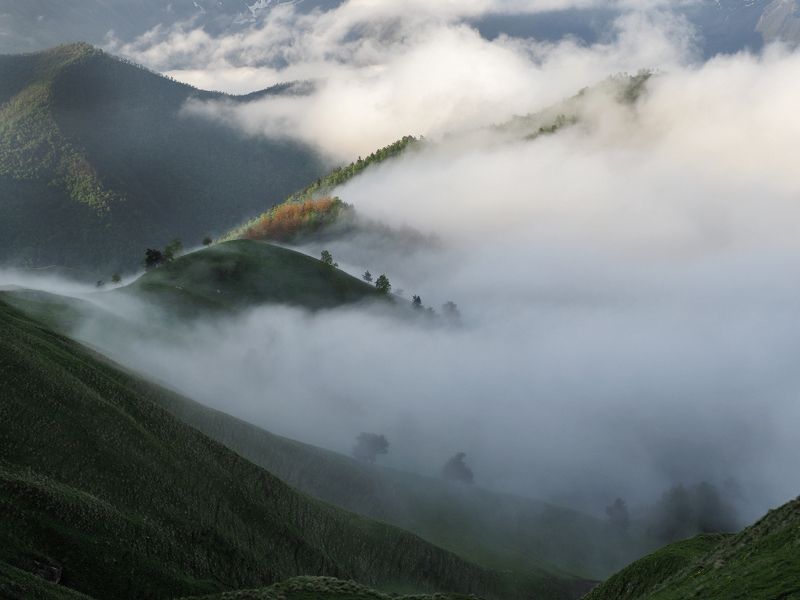 кавказ, ингушетия, большой кавказский хребет, горы, туман Ползут туманы по долинам фото превью