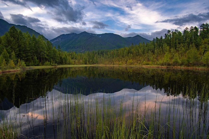 После дождя фото превью
