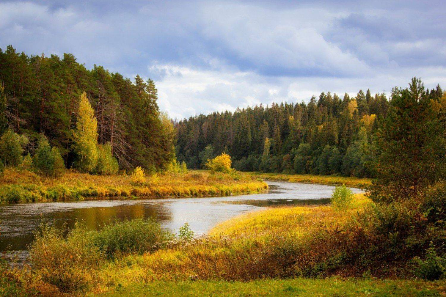 , Аседач Александр