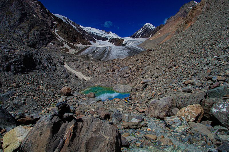 алтай актру ледник горы  фото превью