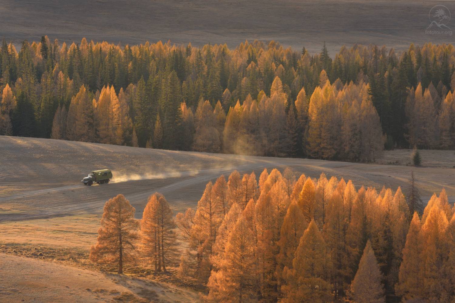 осень, джазатор, алтай, горный алтай, республика алтай, беляши, фототур на алтай, гор, лиственницы, Гордиенко Анатолий