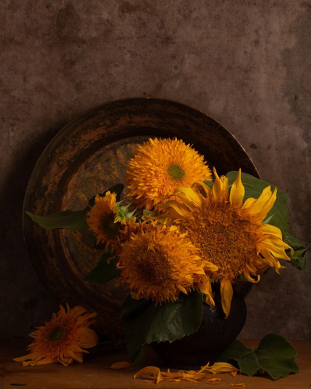 Подсолнухи и старый медный таз фото превью