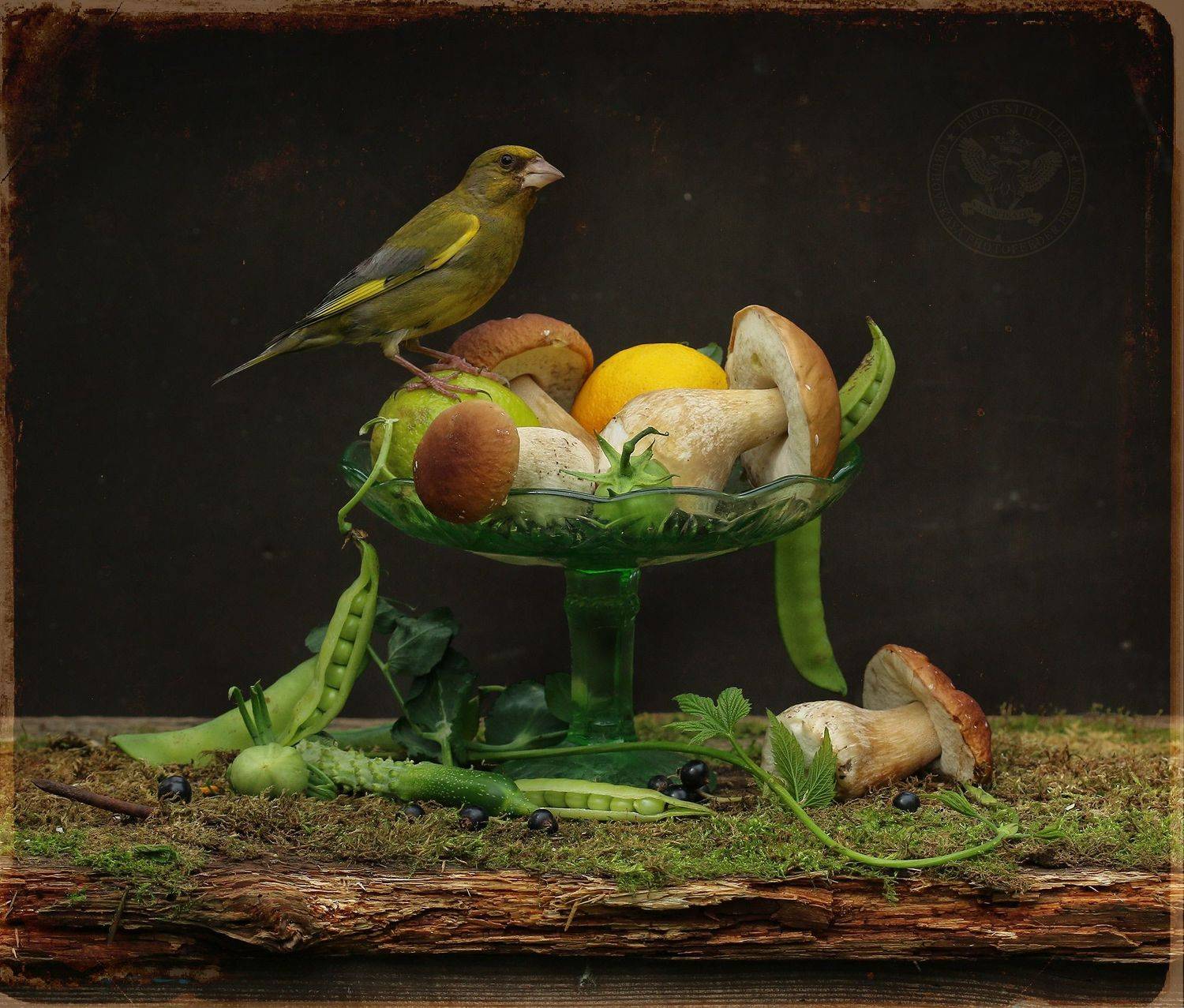 зеленушка, Хромушин Олег