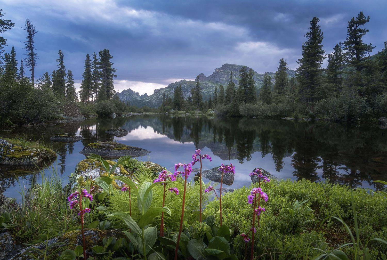 , Грамаков Юрий