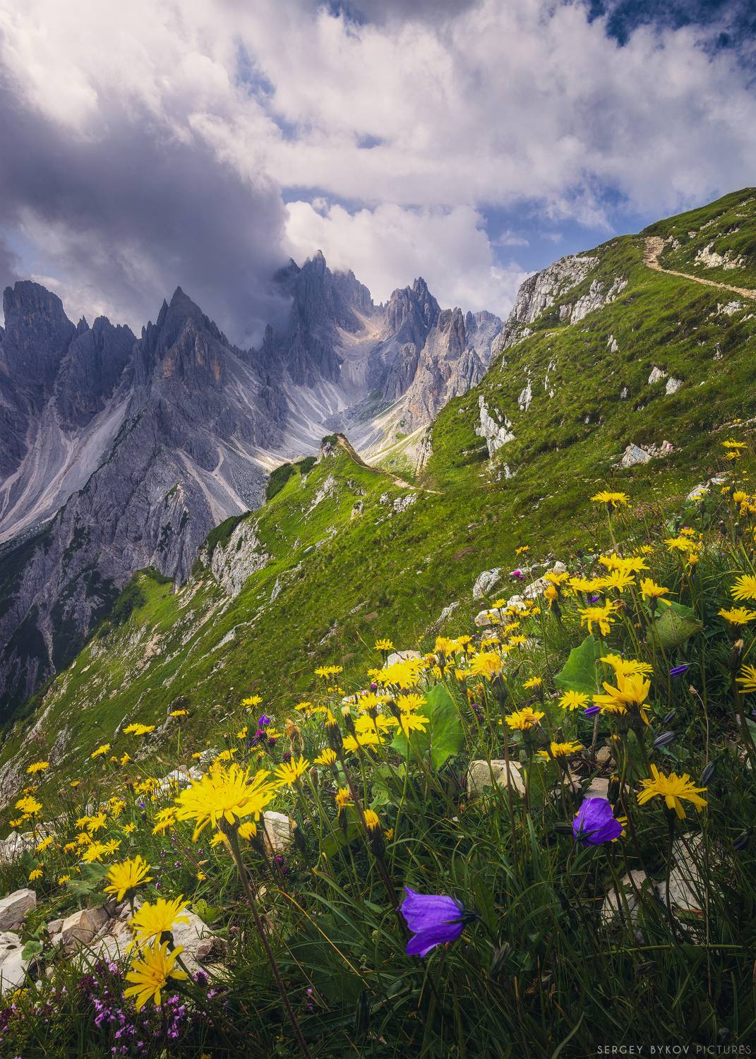 , Быков Сергей